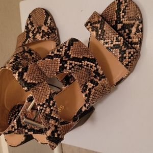 Express sz snake brown new